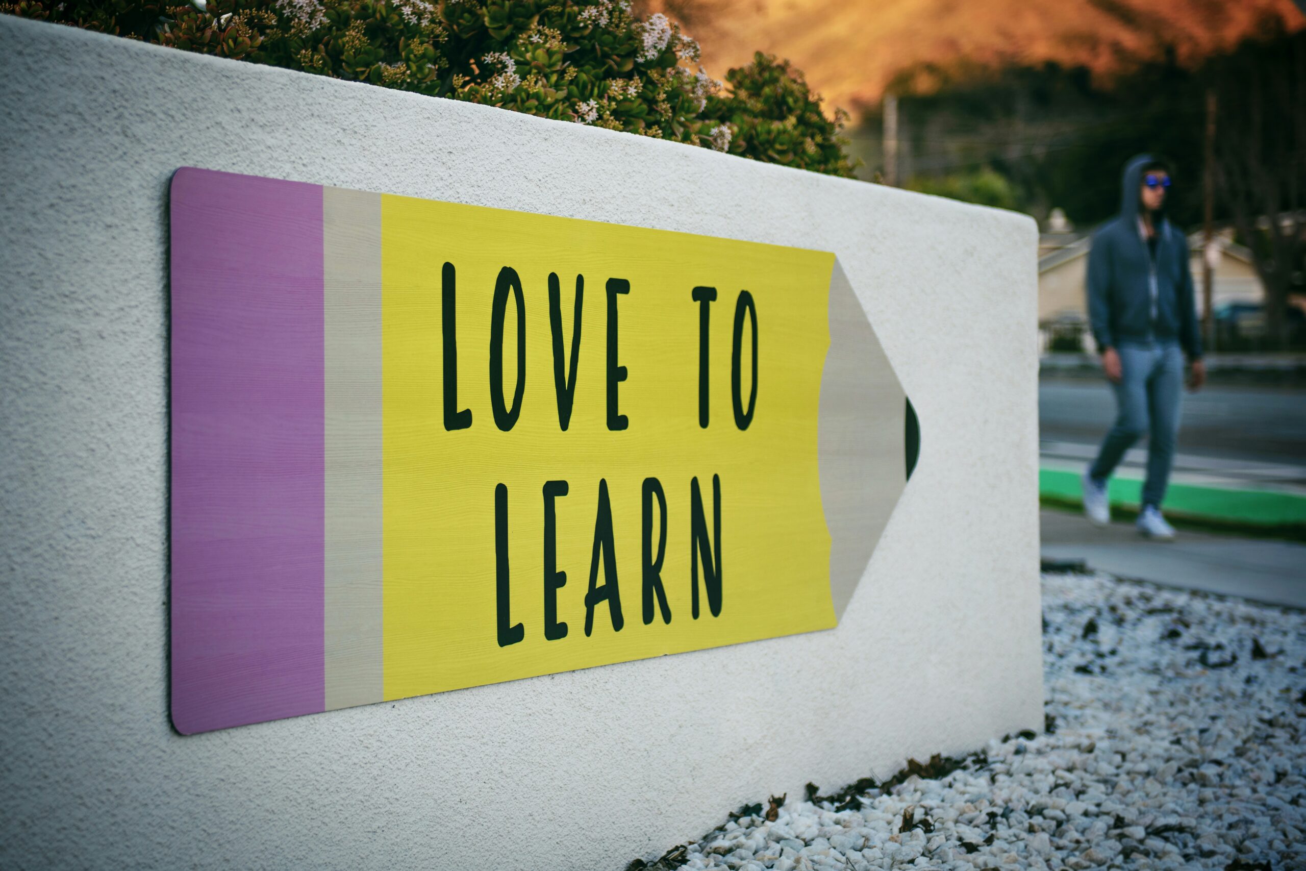 Why Companies Are Prioritizing Skills Over Degrees in Hiring Decisions 2 love to learn pencil signage on wall near walking man